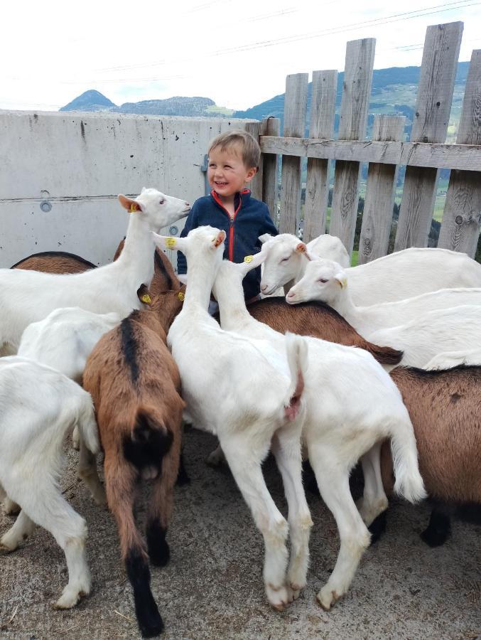 Stockachhof Daire Fuegenberg Dış mekan fotoğraf